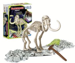 Scientific Fun: Mammoth Fossils CLEMENTONI 60890