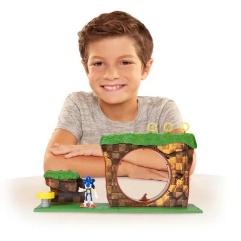 SONIC Zestaw Strefa Zielonego Wzgórza Figurka Sonic Green Hill Zone JAKKS PACIFIC 403934 SONIC Zestaw Strefa Zielonego Wzgórza Figurka Sonic Green Hill Zone JAKKS PACIFIC 403934