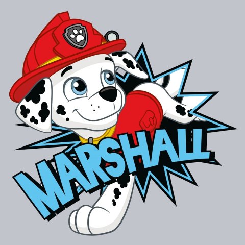 Magic towel PSI PATROL MARSHALL 30x30 cotton CARBOTEX PAW223015-MT